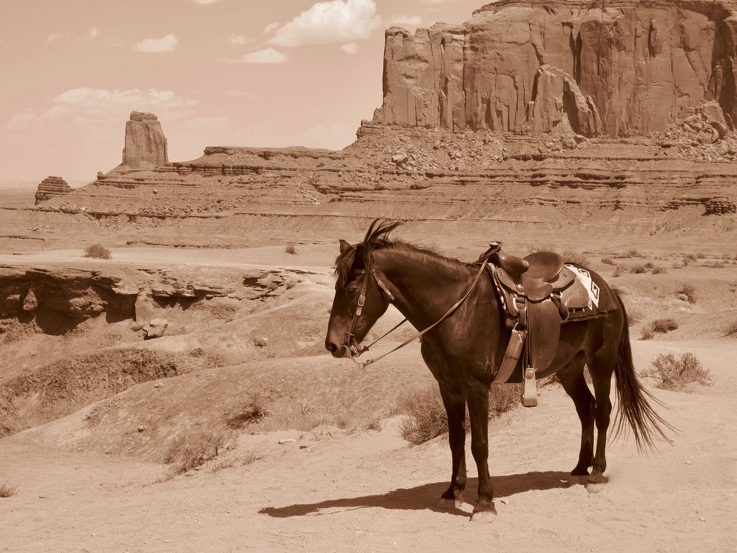 A saddled pony stands in the desert with rocks in the background.