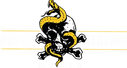 pirate-stream-media-logo.png