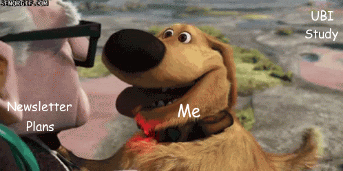 An animated gif from the movie up, where Dug the dog is panting and looking at Carl. Halfway through, he stops panting and turns his head, and text at the bottom of the image says, "SQUIRREL." The image is annotated with Carl as "Newsletter Plans," Dug as "Me," and "UBI Study" in the direction where Dug looks at the squirrel.
