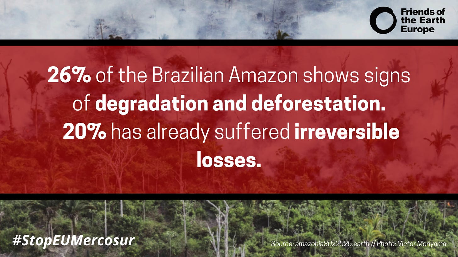 Graphic that says '26% of the Brazilian Amazon shows signs of degradation and deforestation. 20% has already suffered irreversible losses."