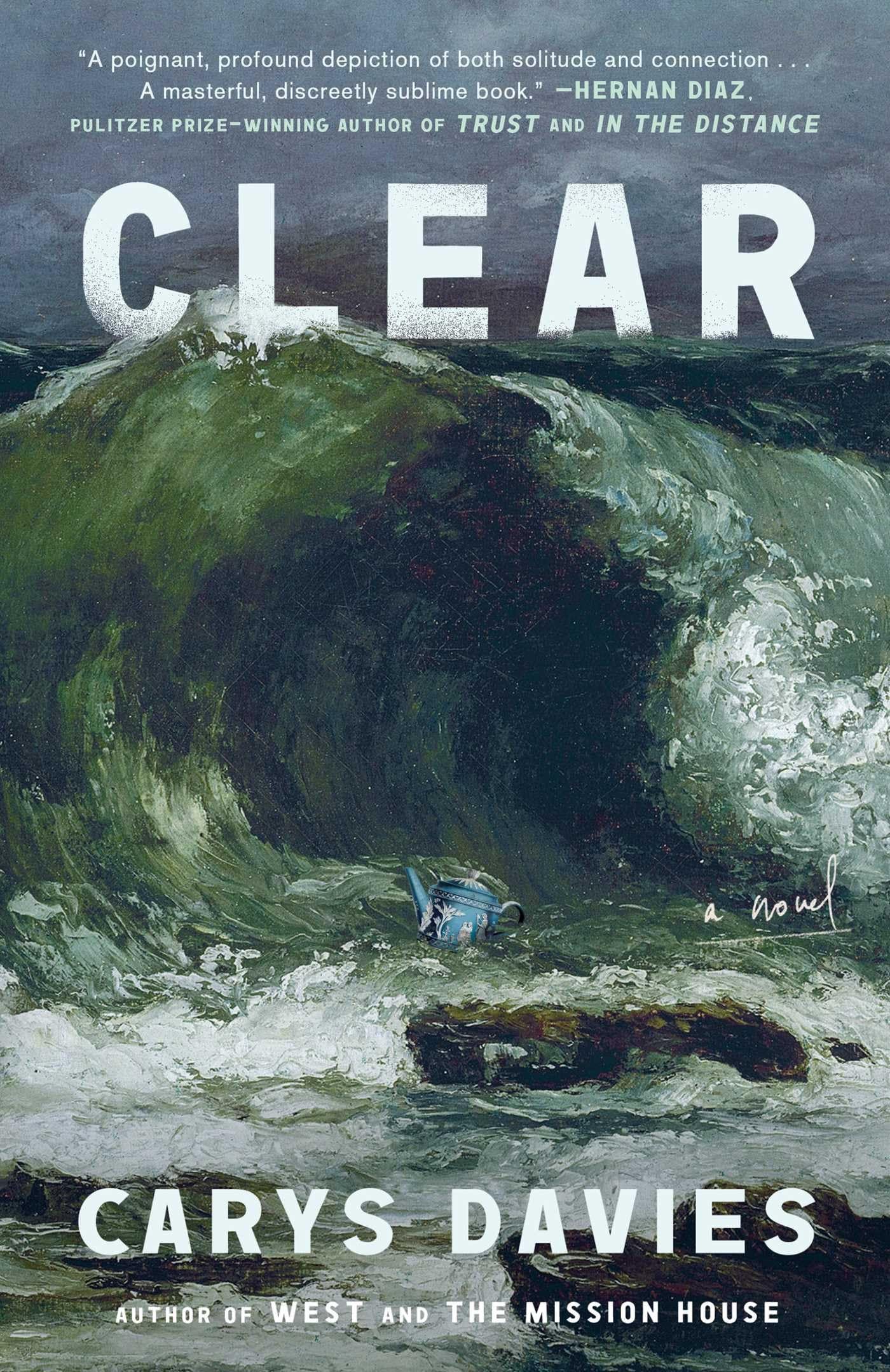 Clear: A Novel [Book]