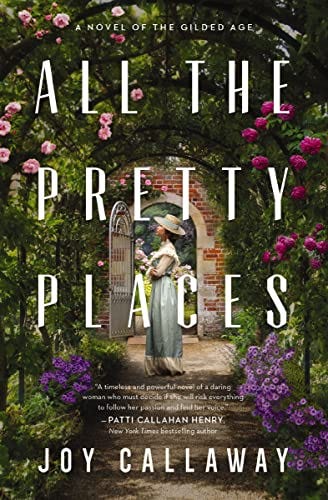 All the Pretty Places: A Novel of the Gilded Age by [Joy Callaway]