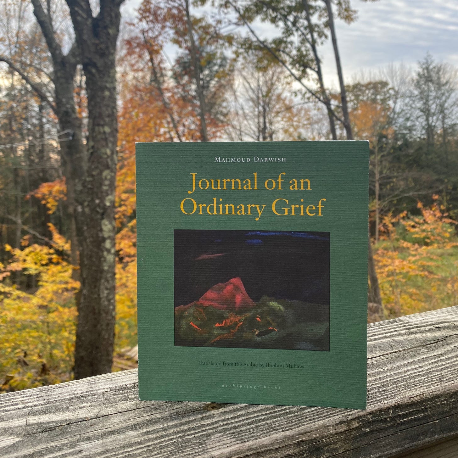 The green, square paperback of Journal of an Ordinary Grief standing upright on a porch railing in front of many golden beech trees.