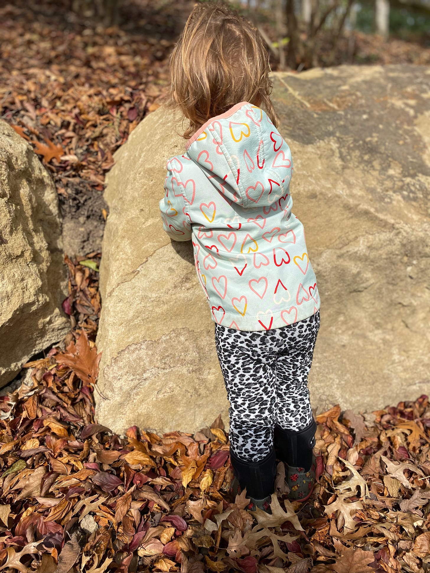 Toddler touching boulder