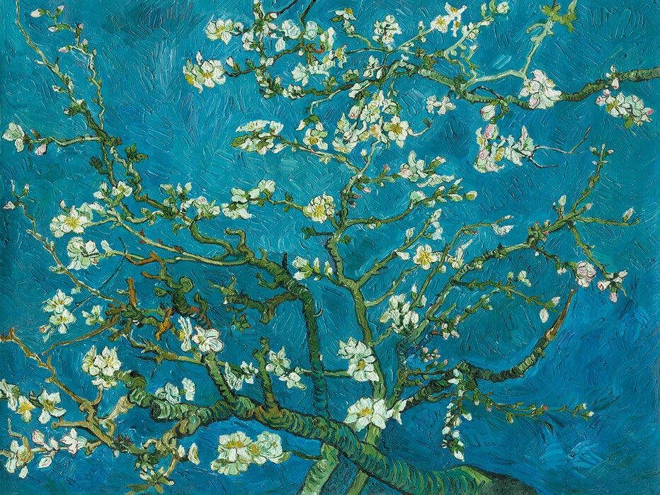Almond Blossom
