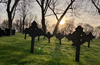 A group of crosses in a cemetery

Description automatically generated