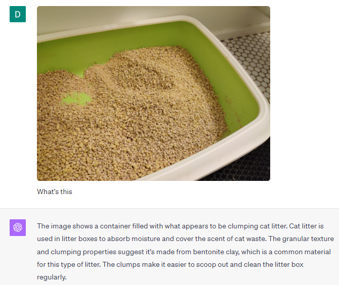 ChatGPT correctly identifying cat litter from a bad photo
