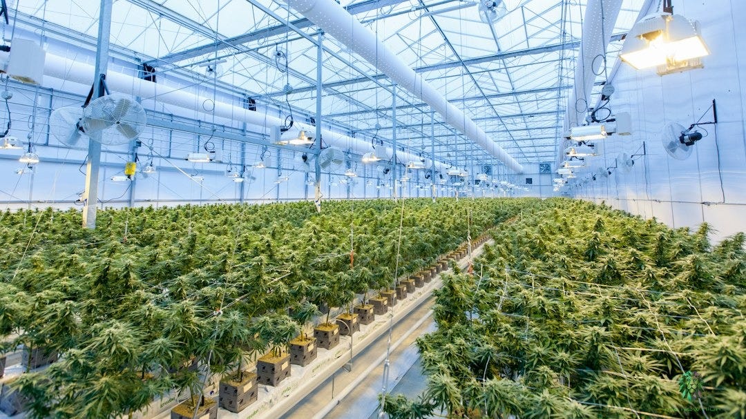 Leading Indoor Grow Solutions Company Achieves Milestone Installation