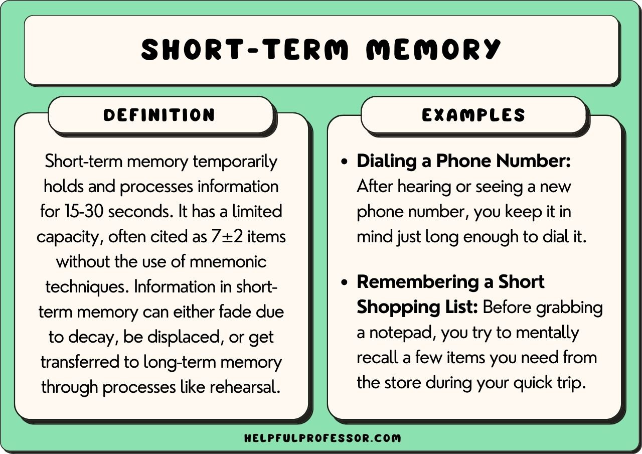 The 6 Types of Short-Term Memory (2024)