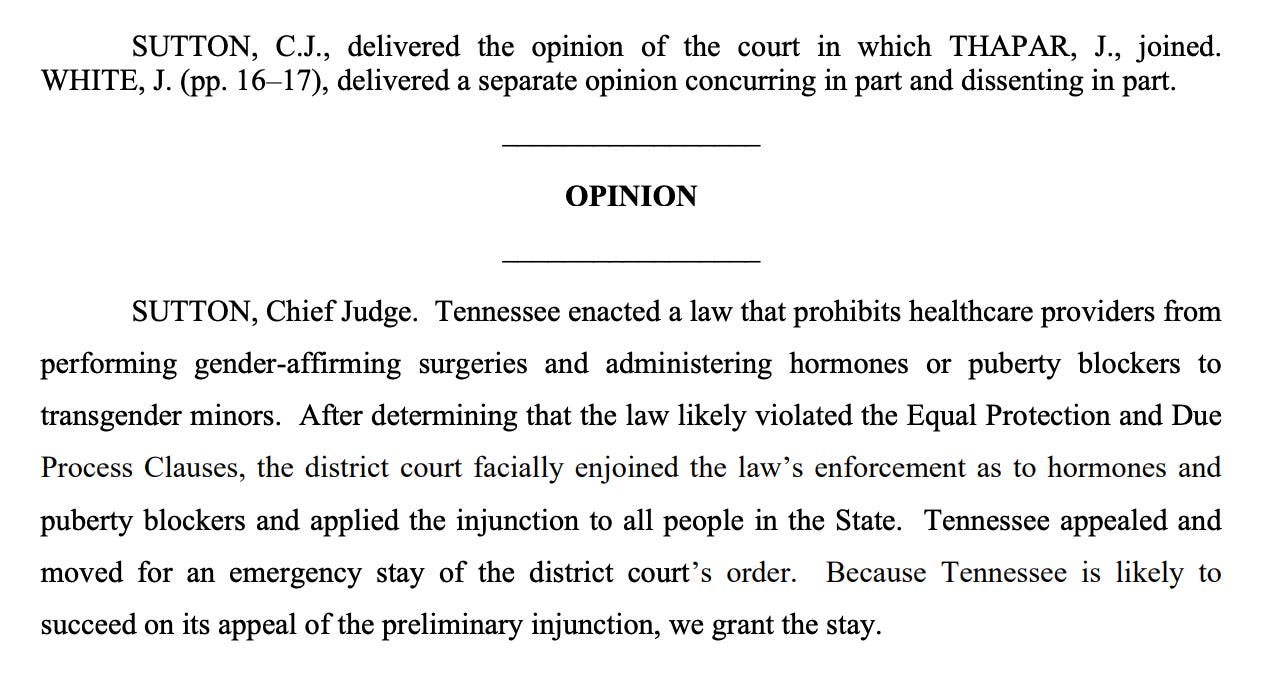 SUTTON, C.J., delivered the opinion of the court in which THAPAR, J., joined. WHITE, J. (pp. 16–17), delivered a separate opinion concurring in part and dissenting in part.                                _________________ OPINION                                _________________ SUTTON, Chief Judge. Tennessee enacted a law that prohibits healthcare providers from performing gender-affirming surgeries and administering hormones or puberty blockers to transgender minors. After determining that the law likely violated the Equal Protection and Due Process Clauses, the district court facially enjoined the law’s enforcement as to hormones and puberty blockers and applied the injunction to all people in the State. Tennessee appealed and moved for an emergency stay of the district court’s order. Because Tennessee is likely to succeed on its appeal of the preliminary injunction, we grant the stay.