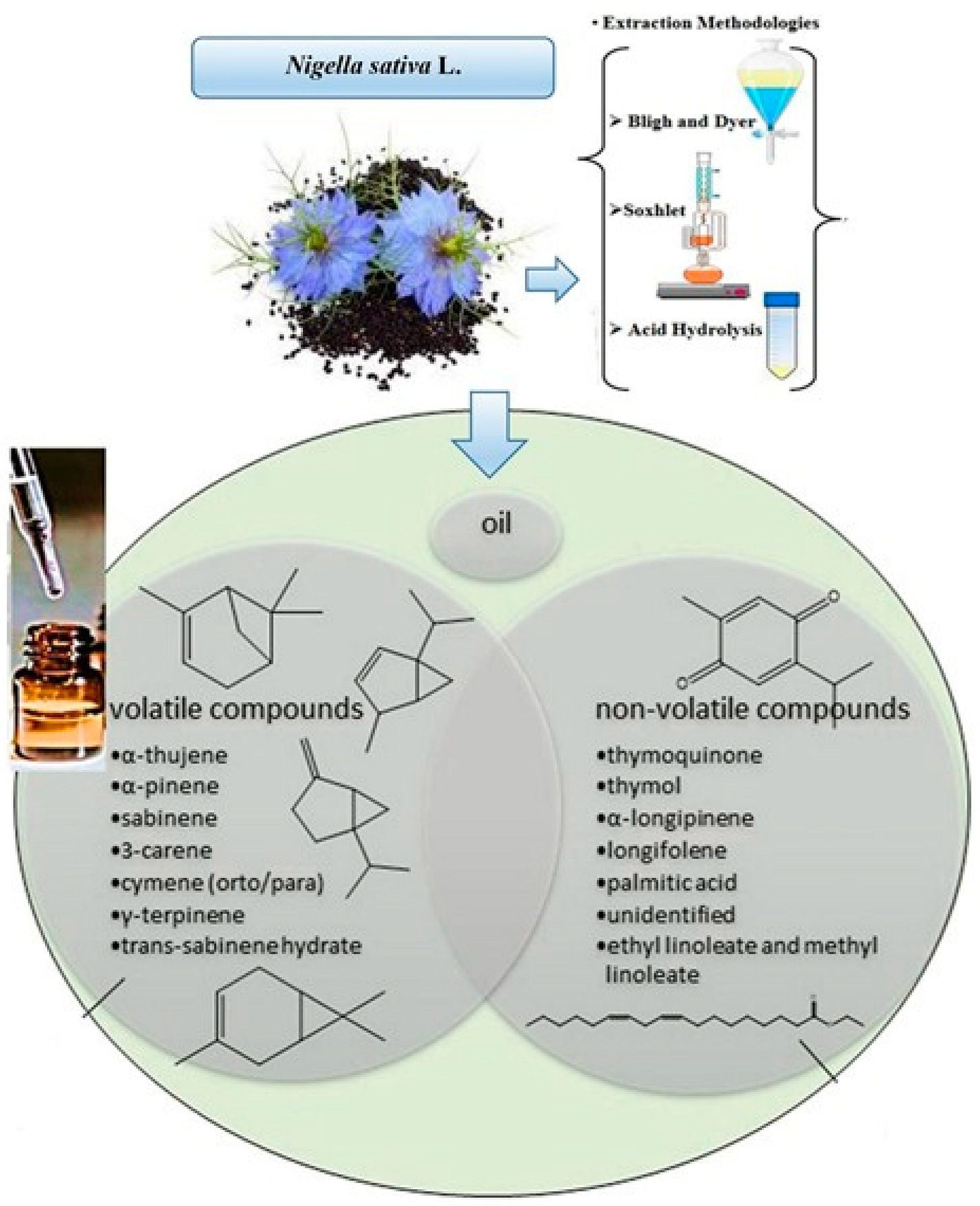 A Narrative Review on Various Oil Extraction Methods, Encapsulation  Processes, Fatty Acid Profiles, Oxidative Stability, and Medicinal  Properties of Black Seed (Nigella sativa)