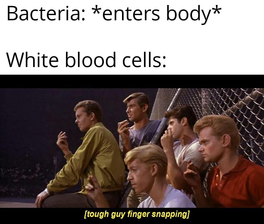 White blood cells, unite! : r/memes