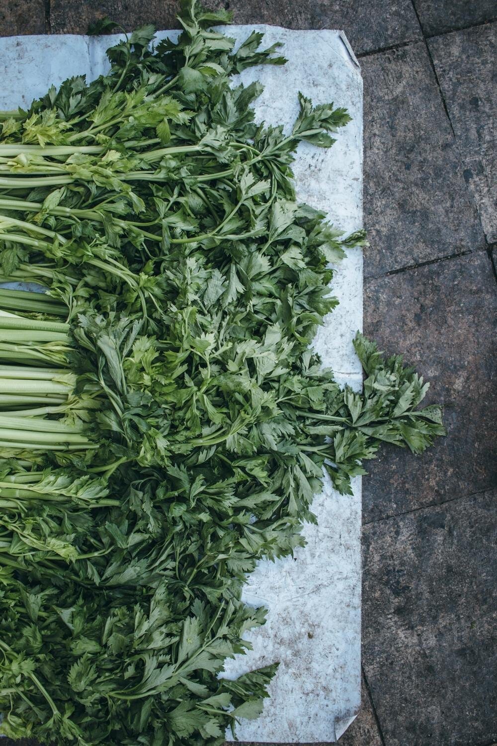 Immigrant Food Stories 12.jpg Immigrant Food Stories 12.jpg