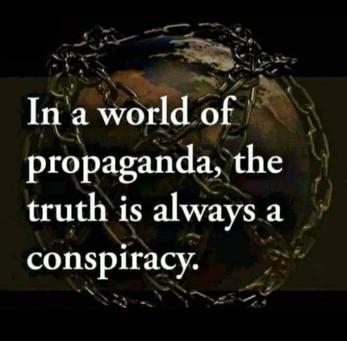 May be an image of text that says 'In a world of propaganda, the truth is always a conspiracy.'