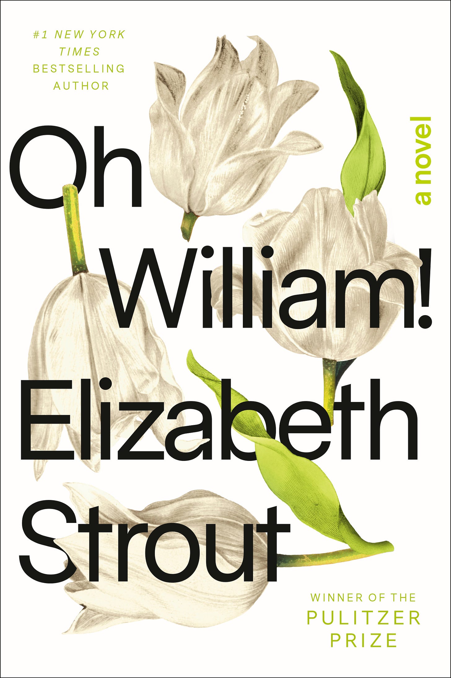 Oh William! by Elizabeth Strout | Goodreads