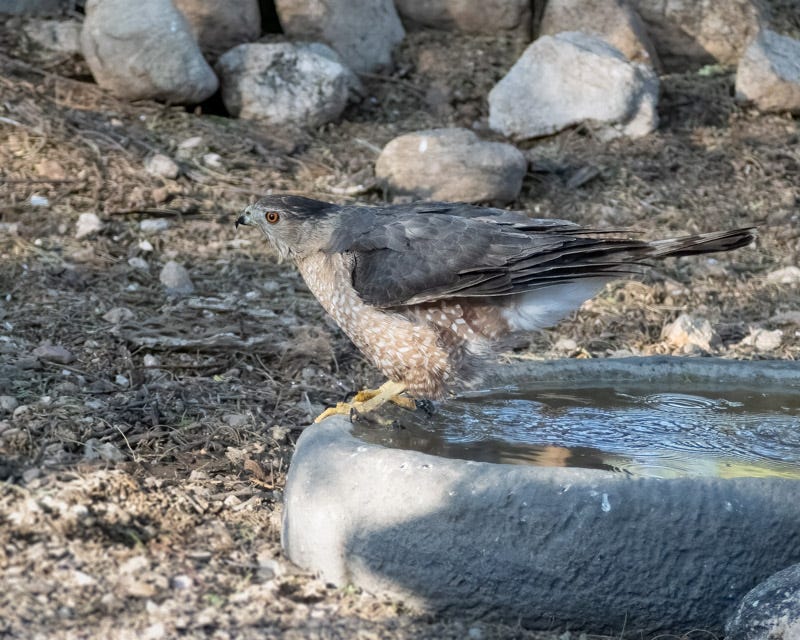 20240517-mby-25-Edit.jpg