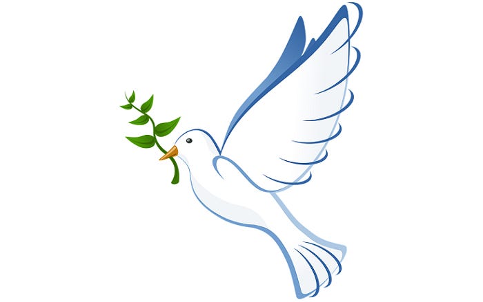 Dove With Olive Branch – Meaning and Symbolism