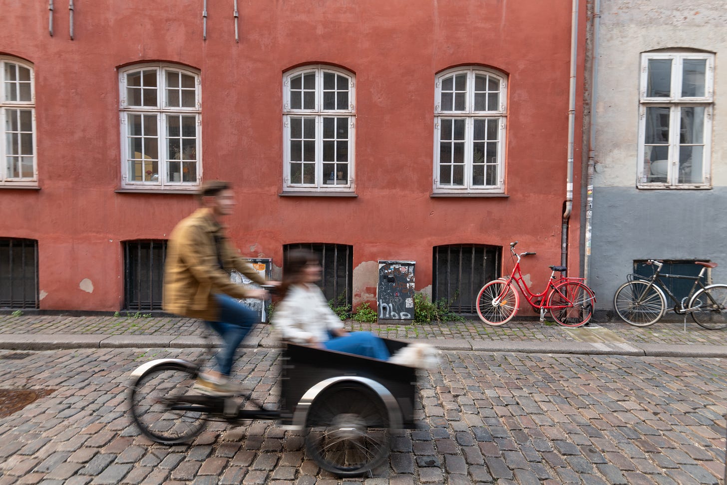 The author, her partner, and their dog are in a cargo bike going down a cobblestone street in central copenhagen. The street is lined with old building and it's shot so that they are slightly blurred, to show motion.