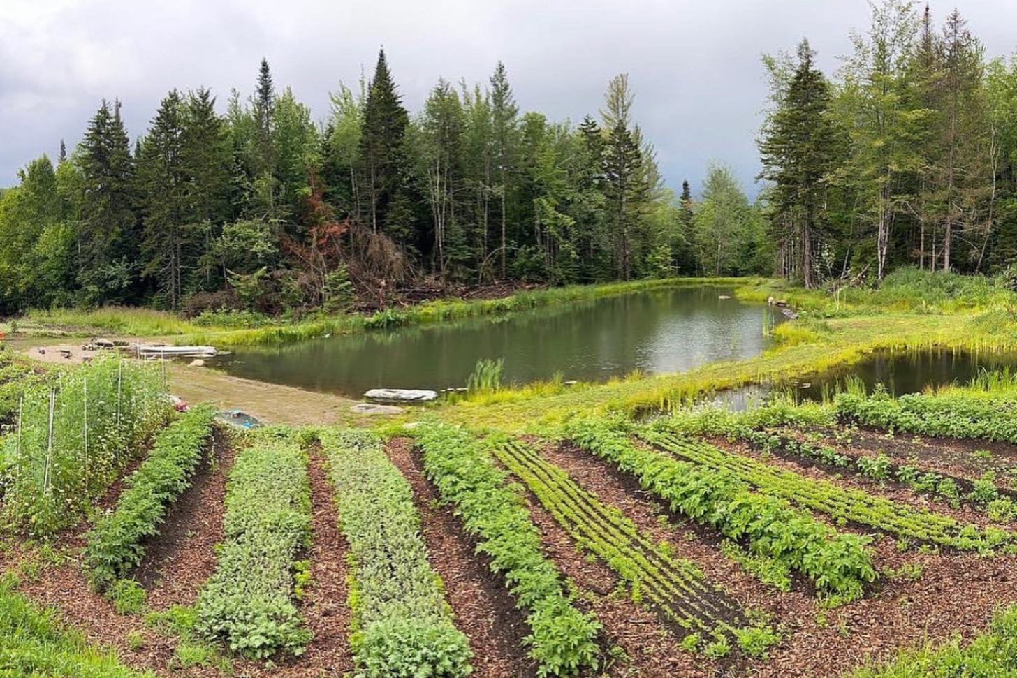 Ben Falk’s farm in Vermont serves as a living laboratory for permaculture techniques.