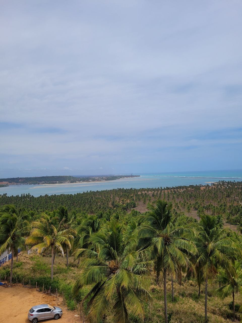 Acima, o céu azul, abaixo inúmeros coqueiros vistos do alto, e entre eles parece um rio desaguando no mar, em tons de verde e azul.