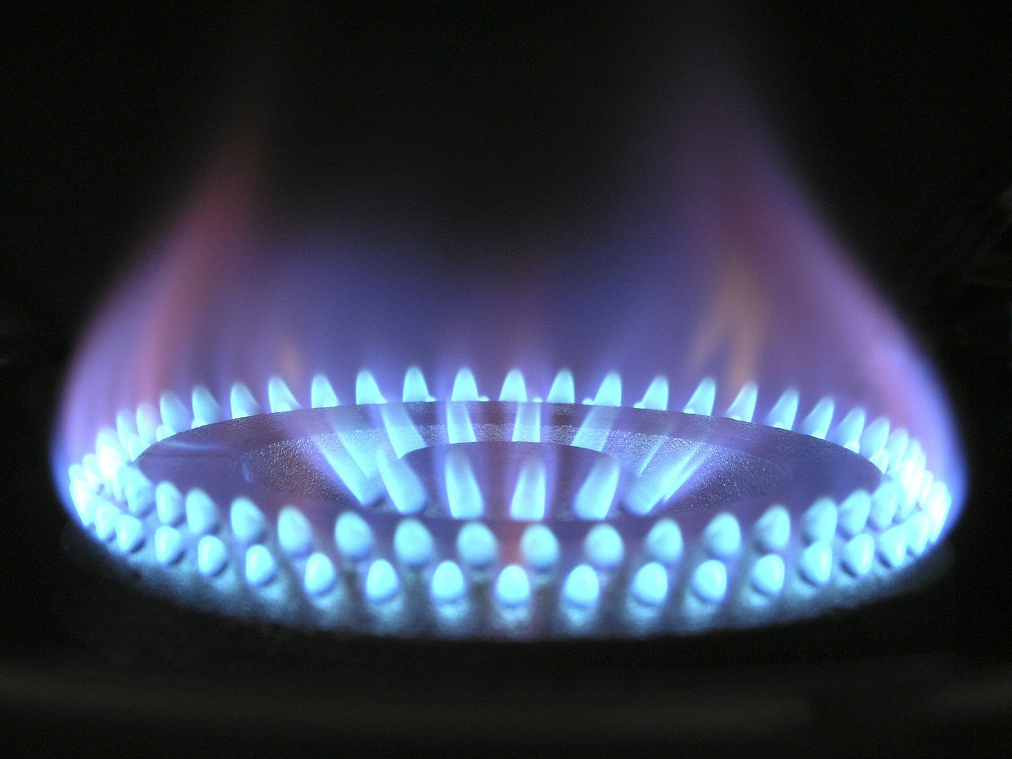Blue gas flame in a ring on a black background