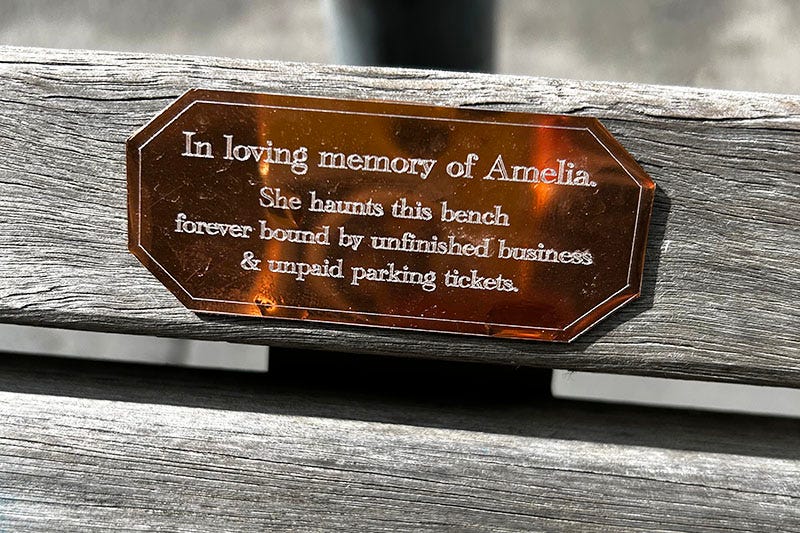 A plaque on a bench reads 'In loving memory of Alice. She haunts this bench, forever bound by unfinished business and unpaid parking tickets.'