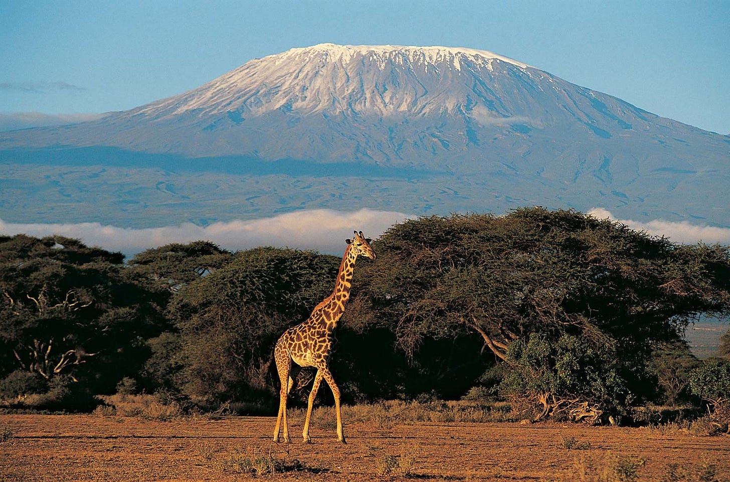 Kilimanjaro | Height, Map, Country, & Facts | Britannica