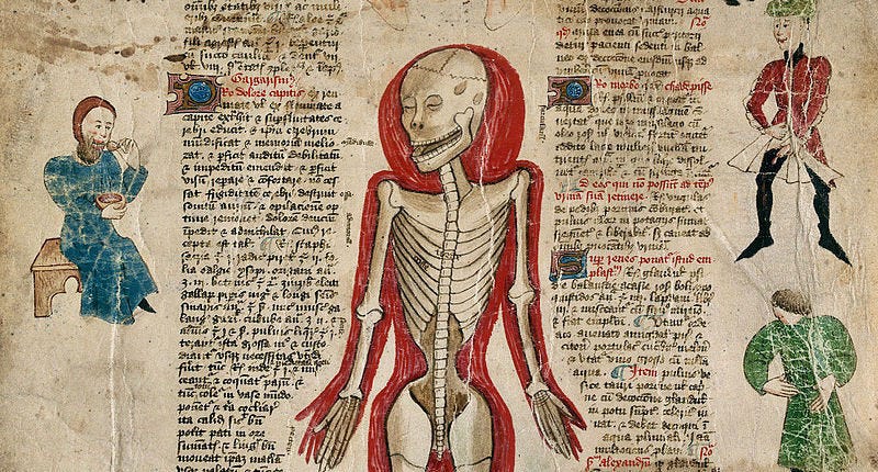 History of Anatomical Dissection