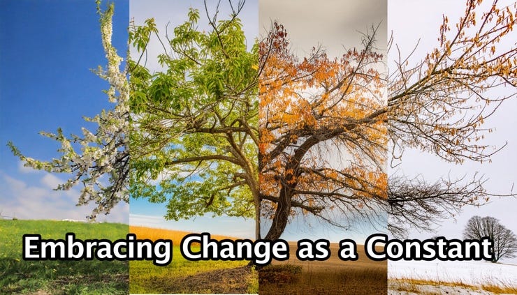 A collage of different seasons

Description automatically generated