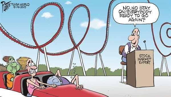Are You Ready to Ride The Stock Market Roller Coaster?