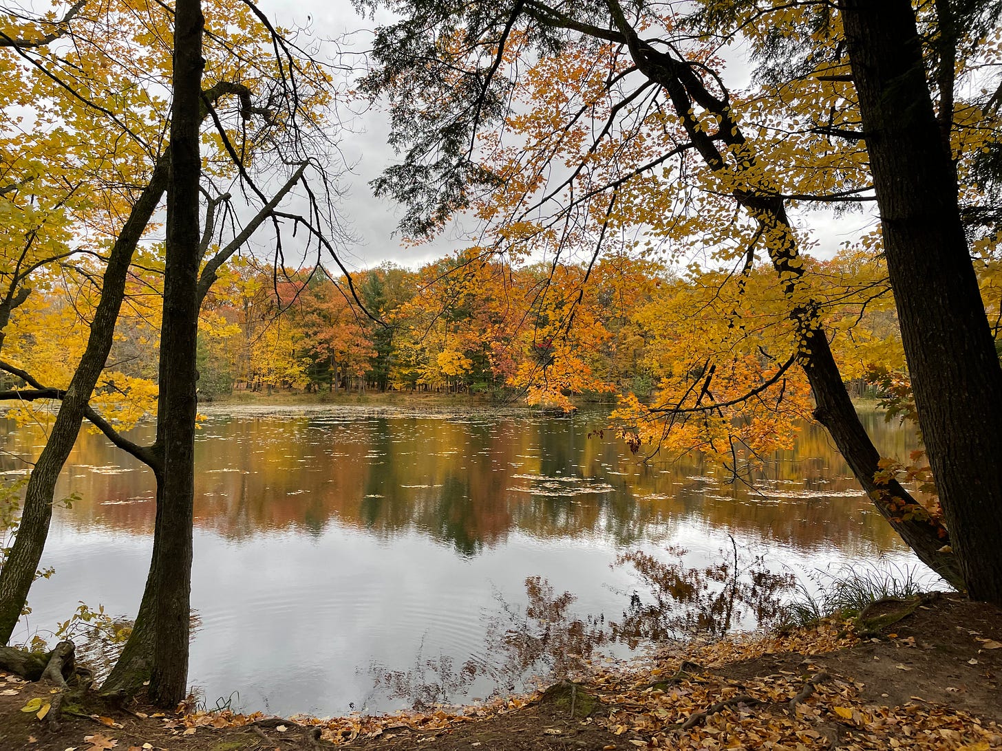 A glassy body of water reflecting a background of orange, yellow, and green trees.