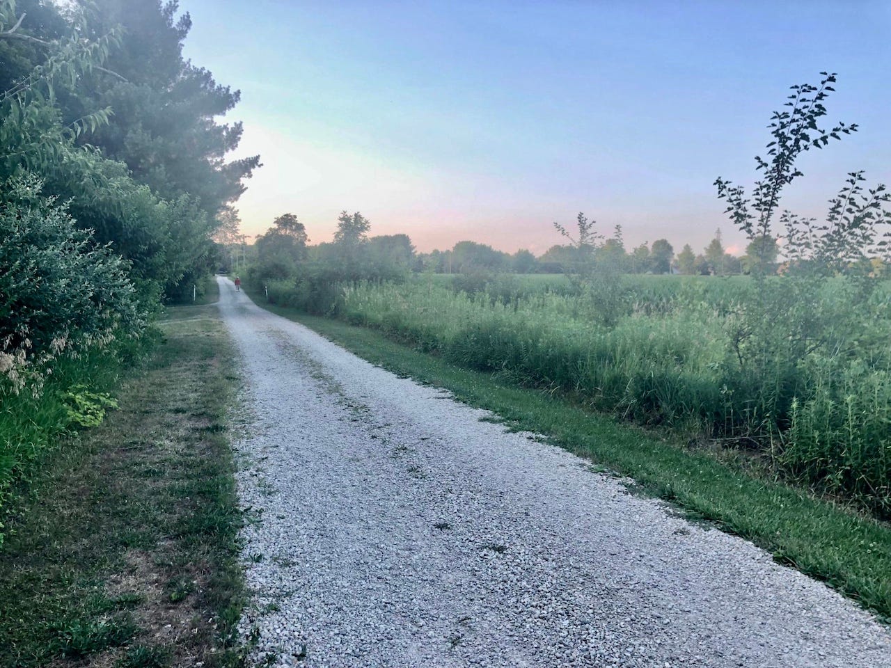 Gravel road leading into a sunset sky, with a meadow on the right side and woods on the left.