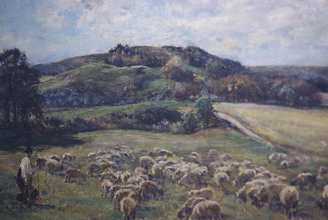 Pieśń owiec i trawy.