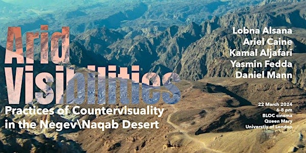 Arid Visibilities: Practices of Countervisuality in the Negev\Naqab