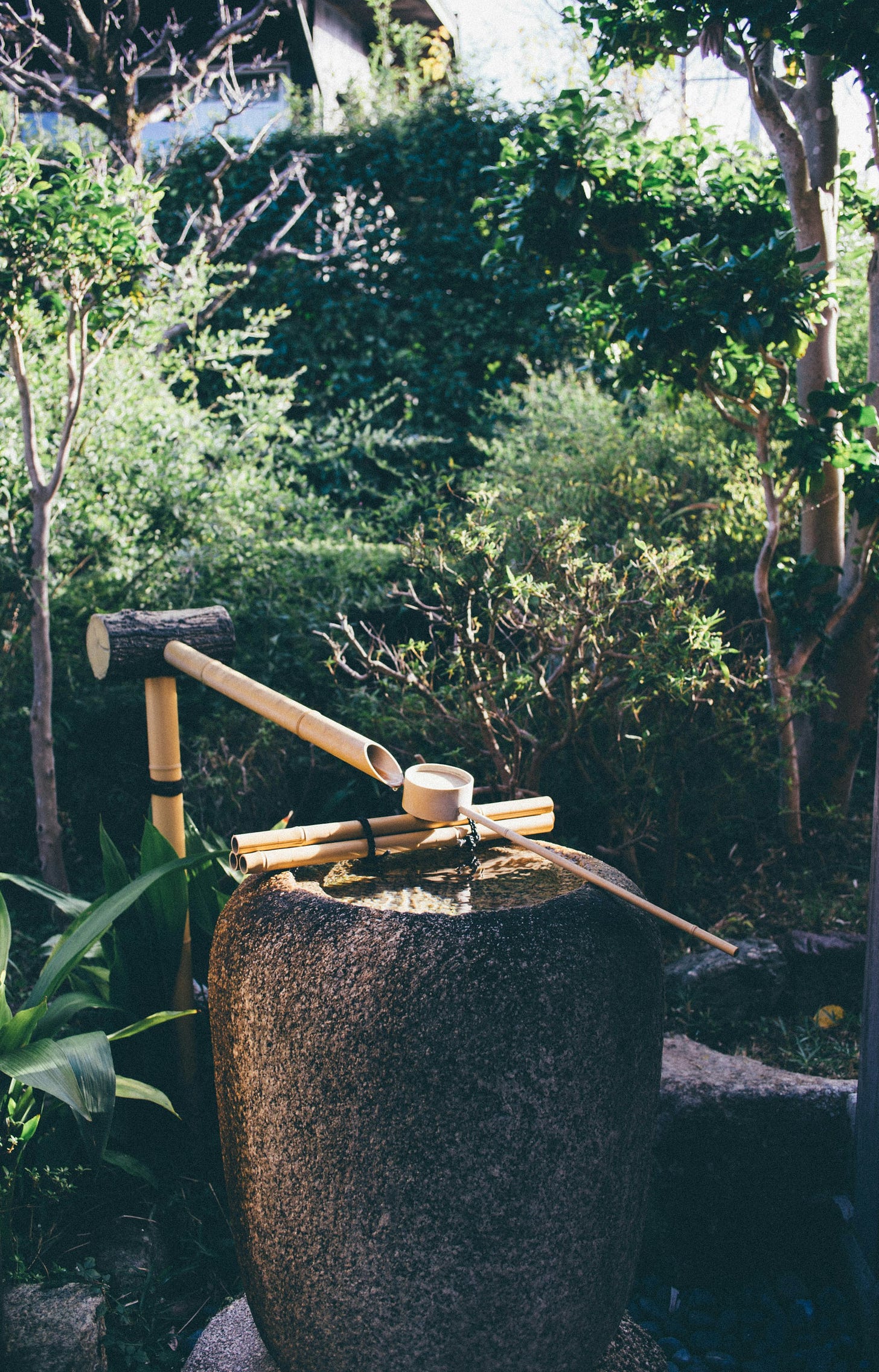 The Philosophy of Wabi-Sabi in Japanese Gardens The Philosophy of Wabi-Sabi in Japanese Gardens