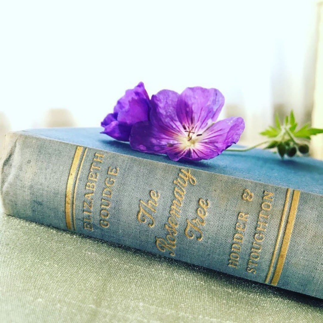 An old UK copy of The Rosemary Tree by Elizabeth Goudge with a blue geranium from the garden.