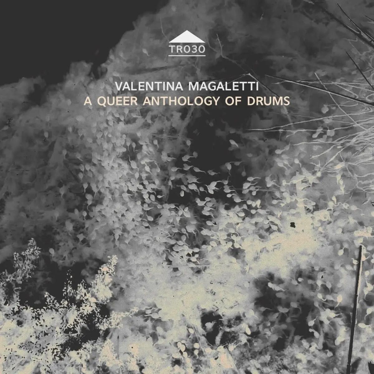 Valentina Magaletti — A Queer Anthology of Drums (Café OTO, 2020) • Cover design by Oliver Barrett • Sonic flux