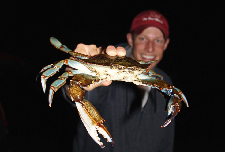 The Time Is Now for Tasty Blue Claws! - On The Water