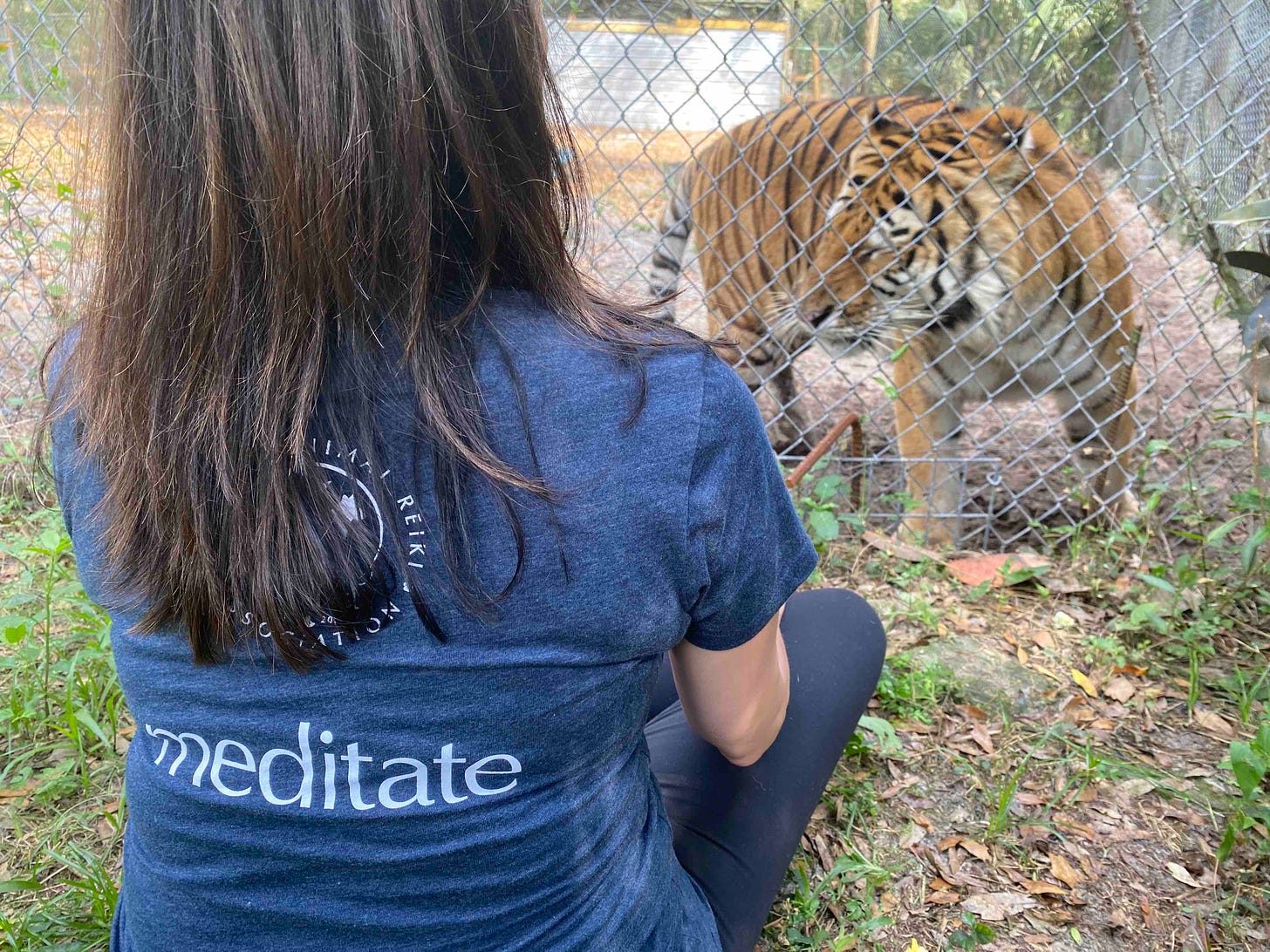 meditating with tigers