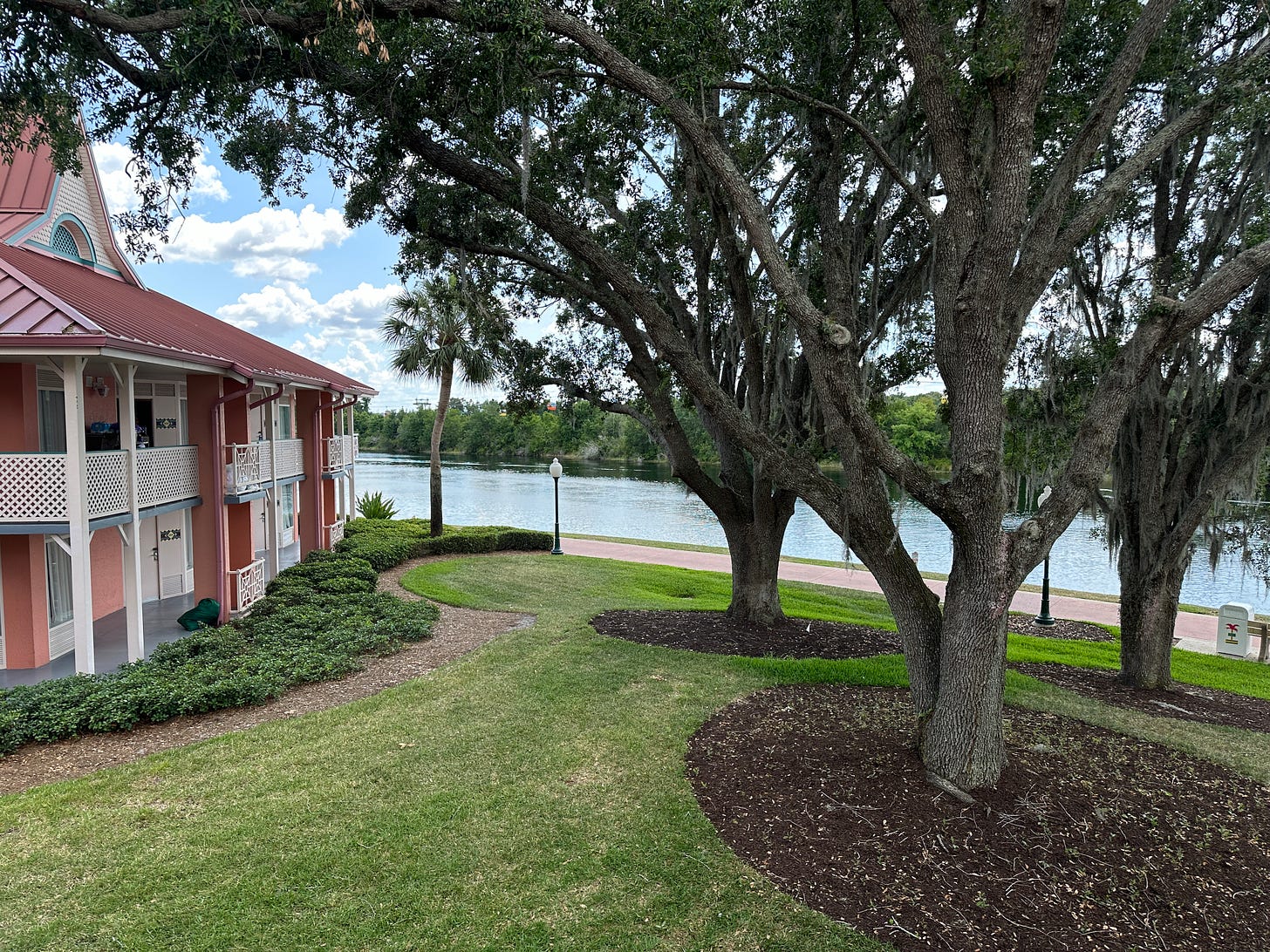 Bungalow building and large trees by waterside