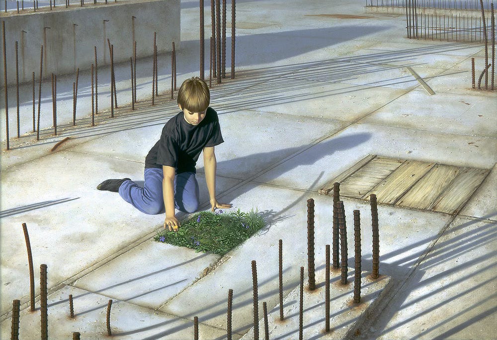 In black t-shirt and jeans, a 10 year old boy kneels on the bare foundation of a building. Rusted rebar sticks out from the ground casting long shadows. In front of the boy a patch of vegetation grows wild through a square gap in the concrete. The growth is mostly weeds mixed with a vibrant purple wildflowers. The boy's hand pauses at the edge of the square where a single yellow flower grows. Another apparent gap in the concrete next to him is covered by wooden boards so that nothing shows through.