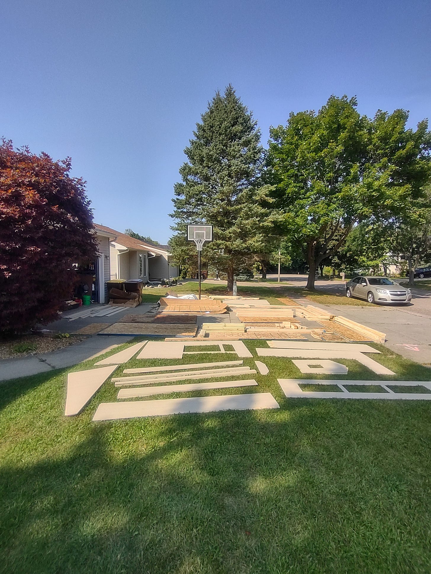 Weekly Wolf Teamwork by Erin Bartels