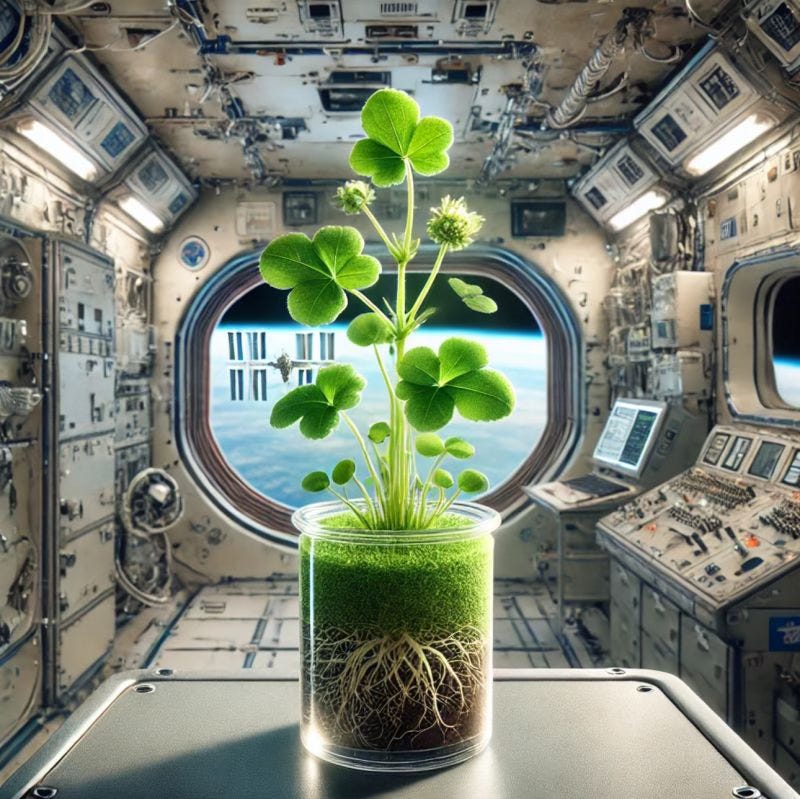 A bright green plant stands out against a capsule jam-packed with silvery grey high-tech equipment. It’s a thriving clover, with trefoil leaves and spiky round buds about to burst into flower. It’s sitting on a stainless steel table, but in the background is an immense window showing the black of space and the glowing horizon of a cloudy blue planet. A space station, with its solar panels deployed, sits between the capsule and the planet.