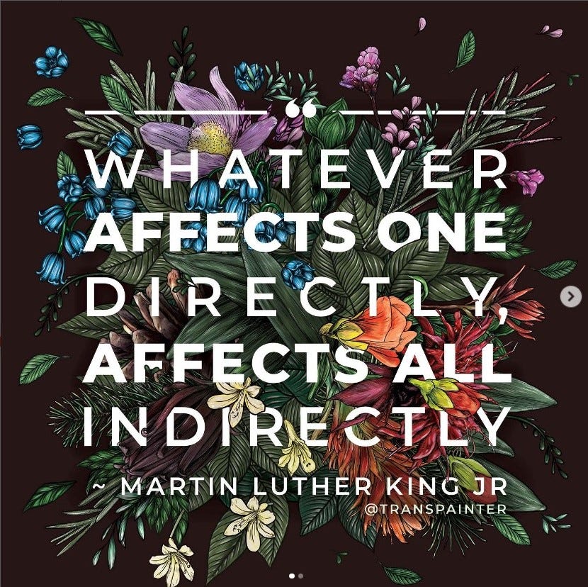 MLK Jr quote reads "Whatever affects one directly, affects all indirectly. The words are in white block letters over a profusion of colorful flowers and plants.