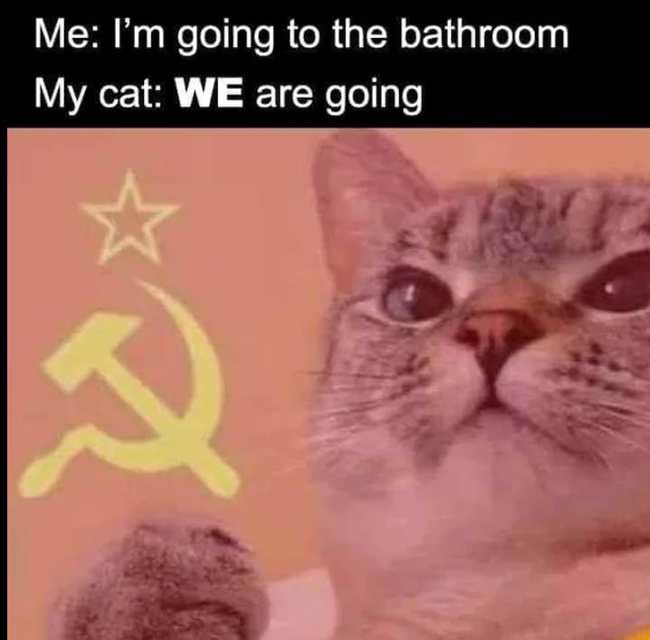 communist cat meme