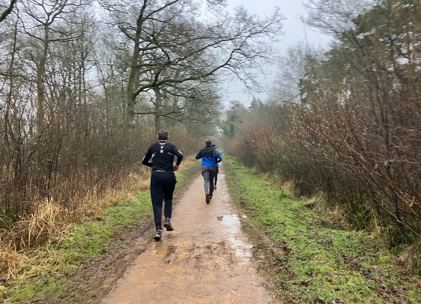 Runners on a narrow hard path bordered by trees