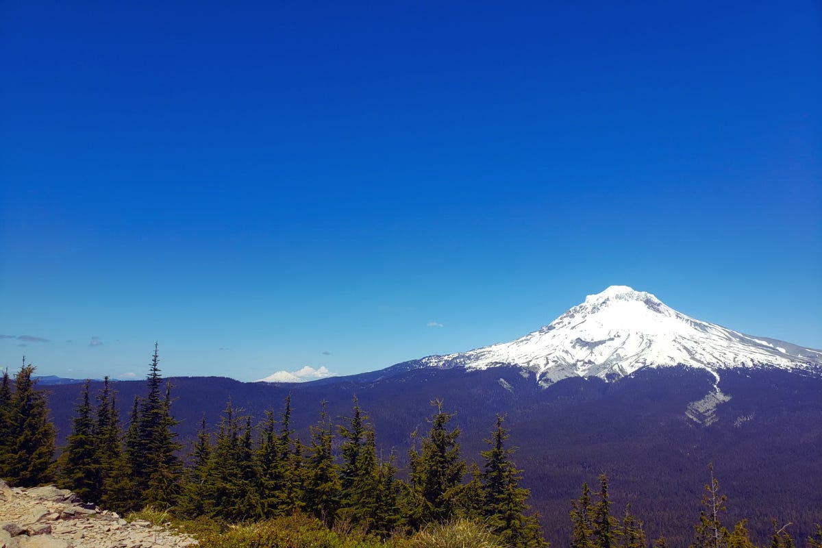 An image of Mt. Hood in the distance, with trees in the foreground.