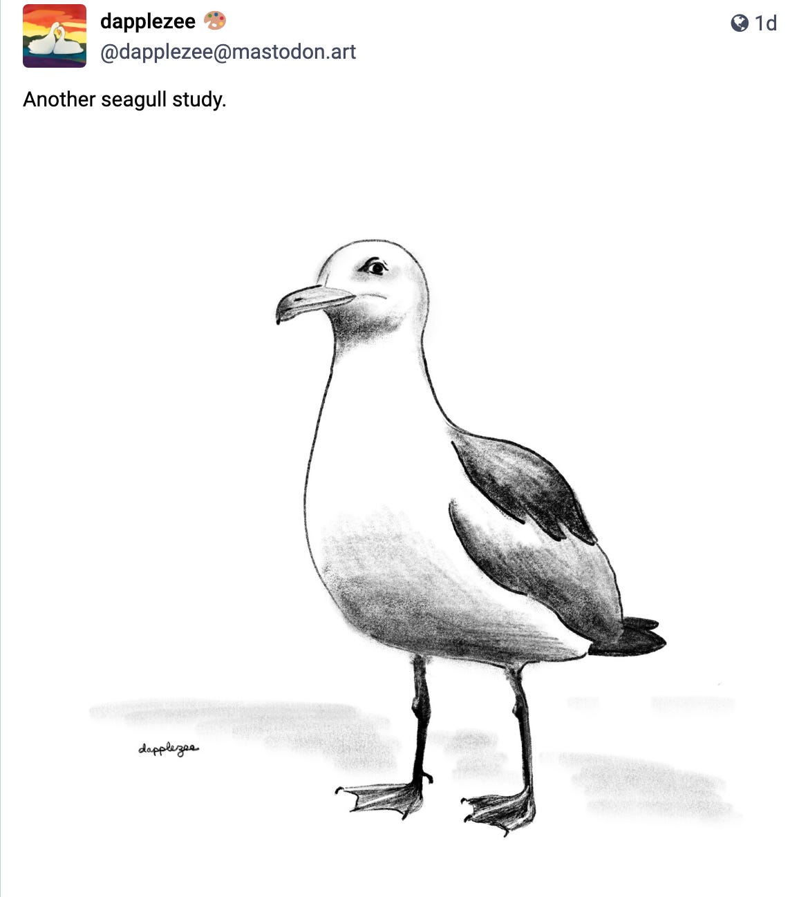 Another seagull study