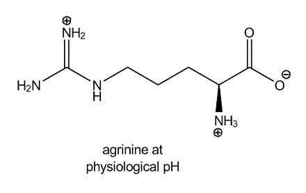 Is the amino acid arginine polar or nonpolar? | Homework.Study.com