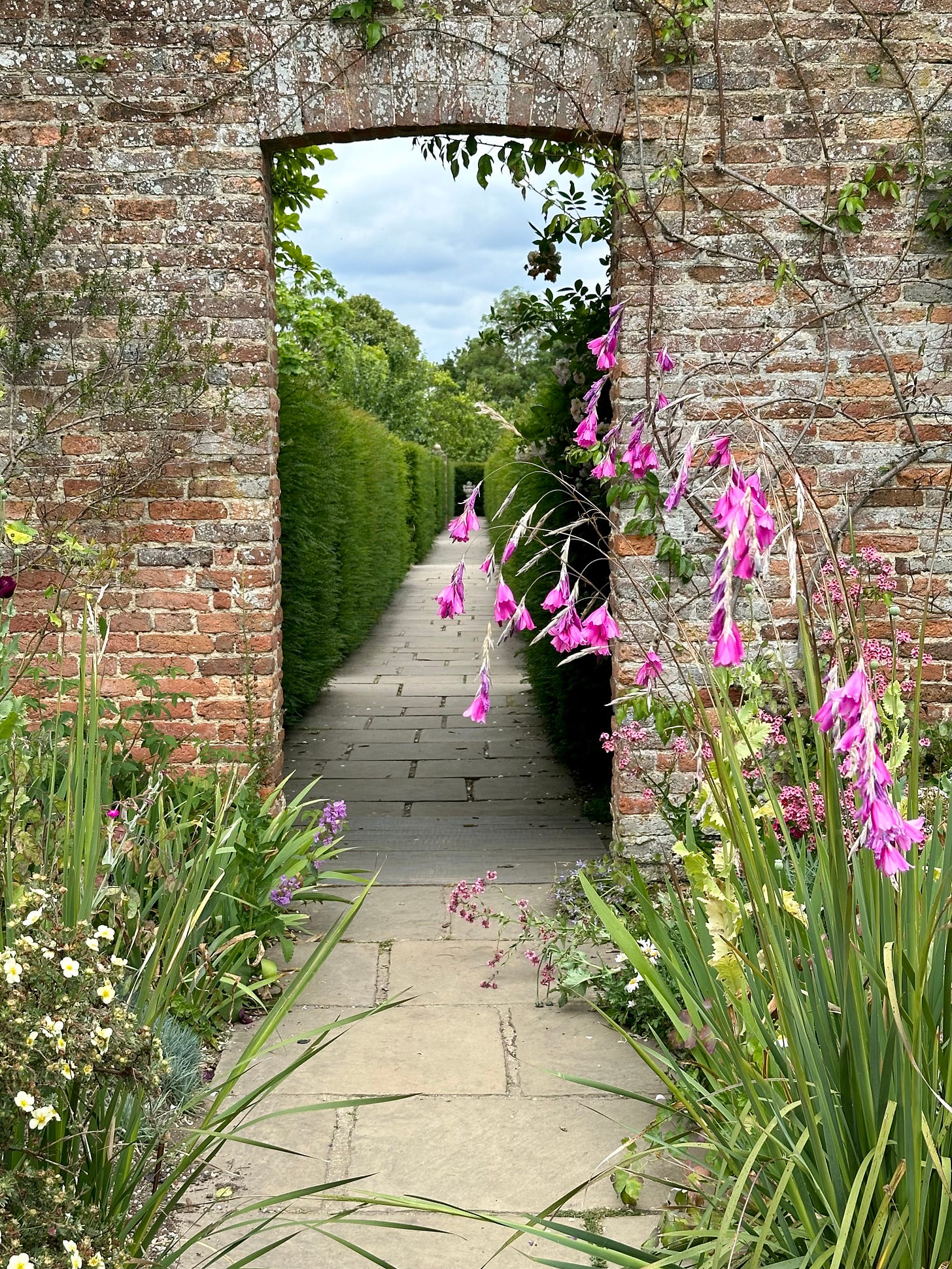 a brick wall with an arch and a pink flower